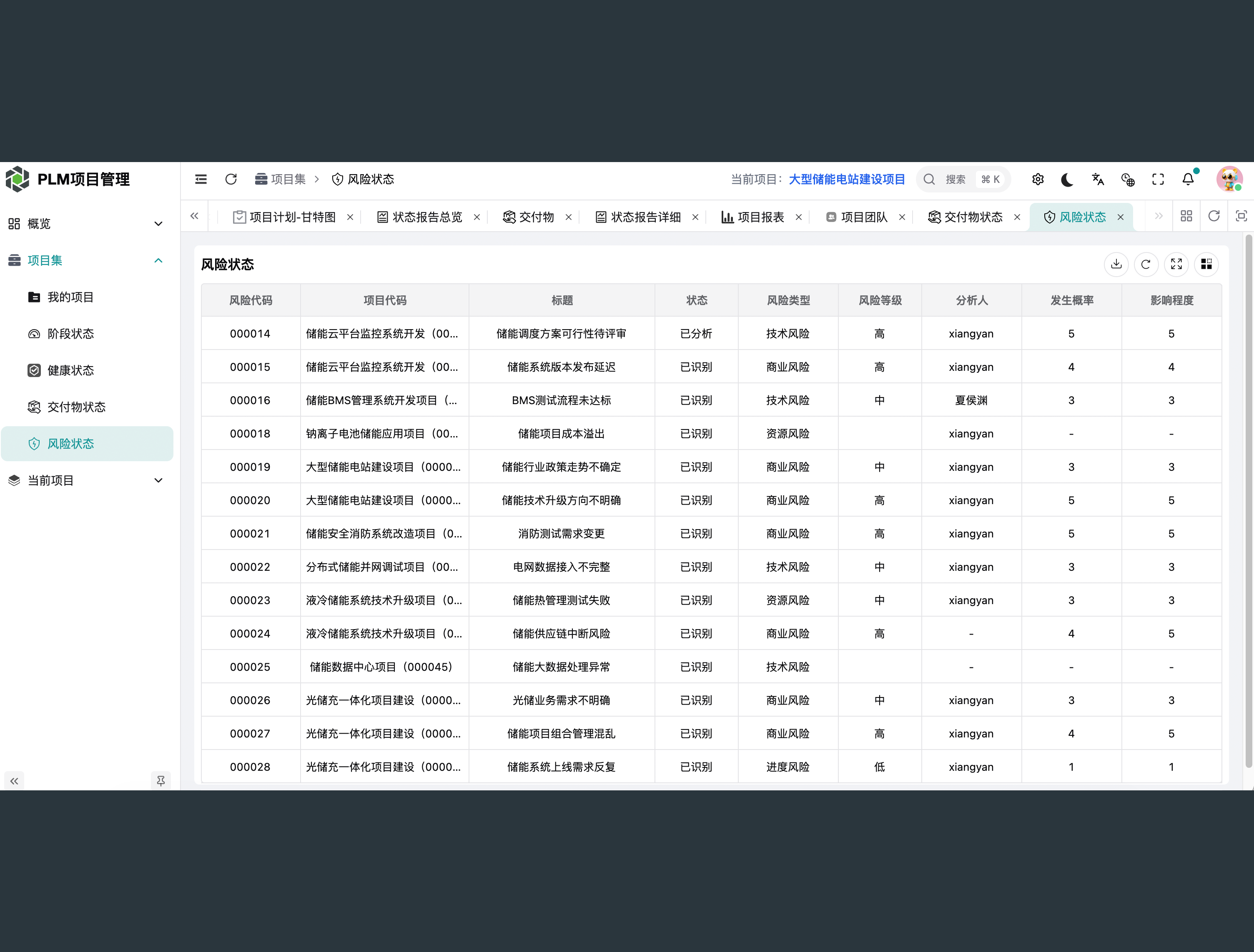 项目风险与问题管理